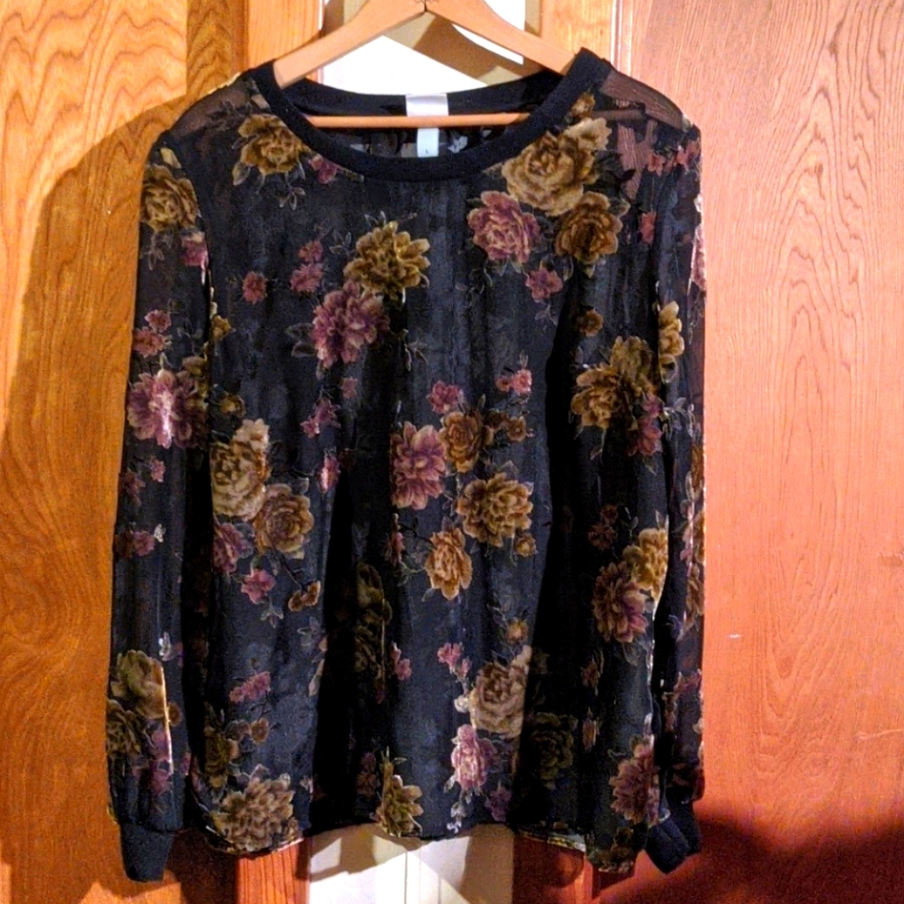 Beautiful sheer top with velvet floral overlay